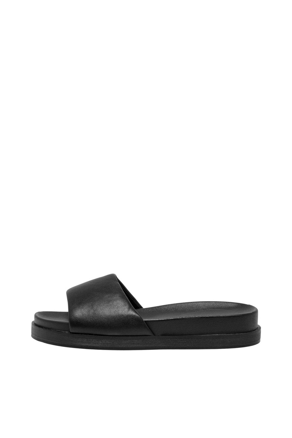 Minnie Sandal - Ταξινόμηση