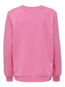 Χρώμα reg πουλόβερ - ροζ